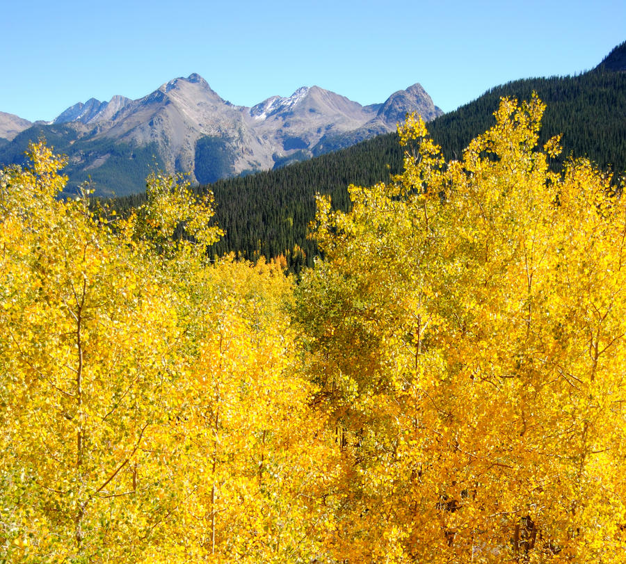 Weminuche Wilderness