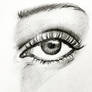 Eye | Pencil Drawing