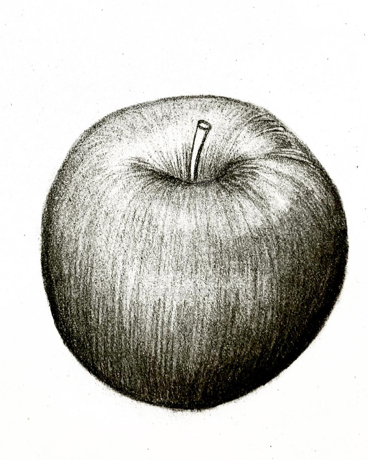 Pencil Drawing of Apple: A Step-by-Step Guide to Creating Realistic Art 29 Pencil Drawing Of Apple