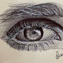 Daily Eye Drawing 2024