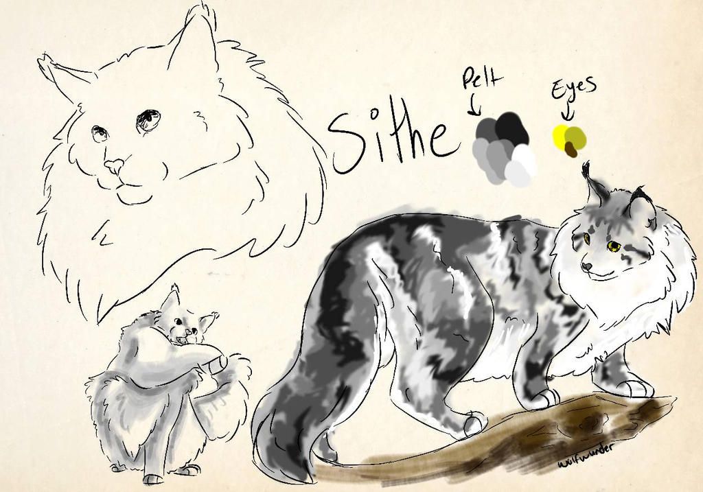 Sithe Drawings sithe reference sheet by wolfwunder on DeviantArt
