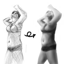 Female Anatomy Study