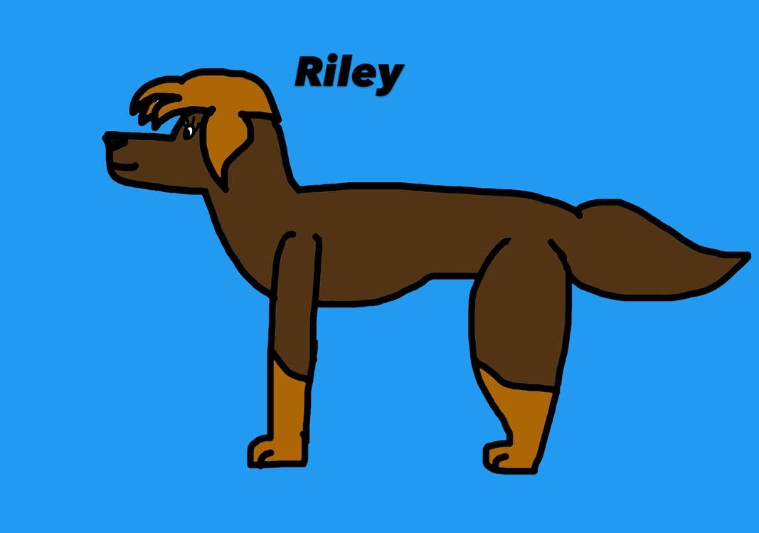 Riley the dog by Blairscartoons on DeviantArt
