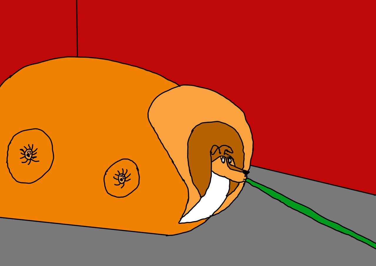 Splatoon Inflated Inflated Flo by Blairscartoons on DeviantArt