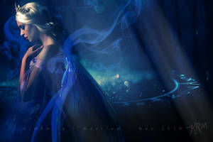 In the Dark of the Night