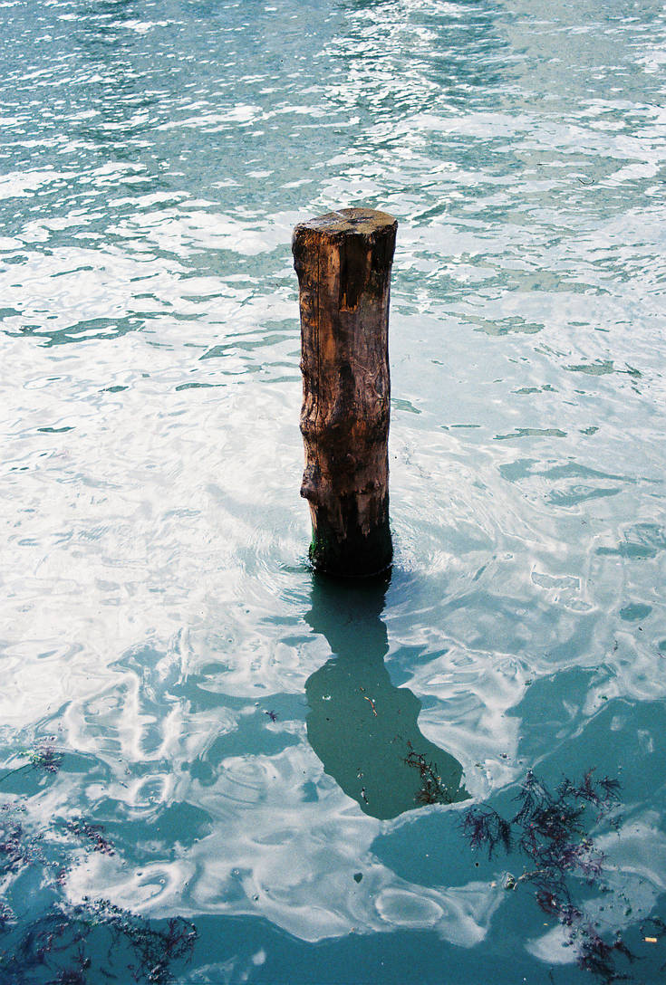 perfect blue by MicroscopicGiants on DeviantArt
