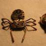 Spider and beetle