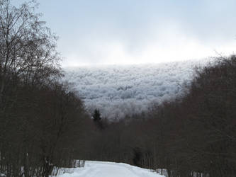 Bieszczady #2