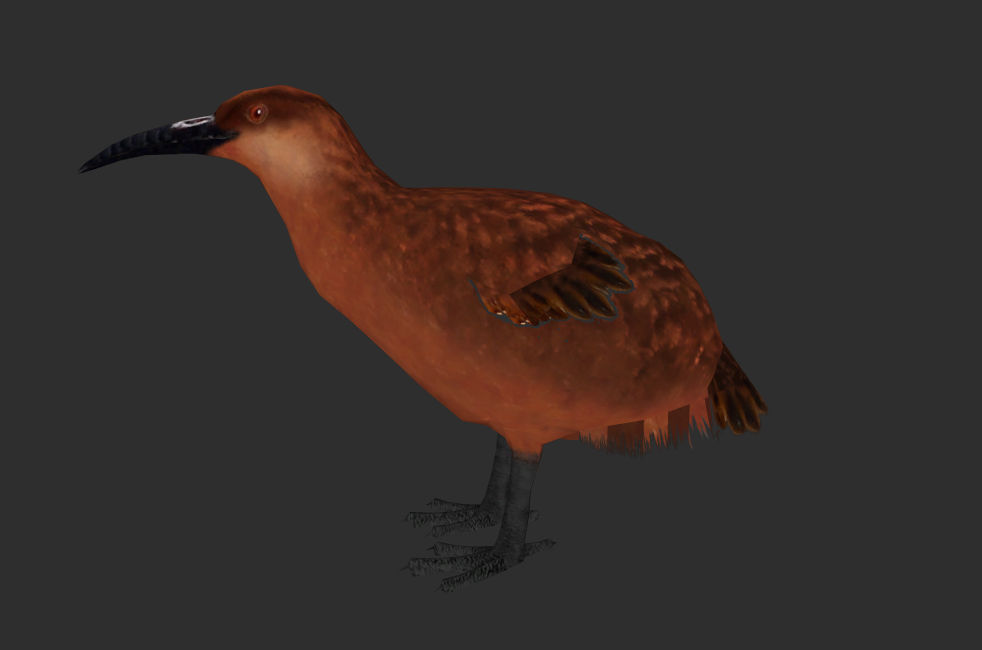 Extinct Red Rail Red Rail by DemonHunterZT2 on DeviantArt