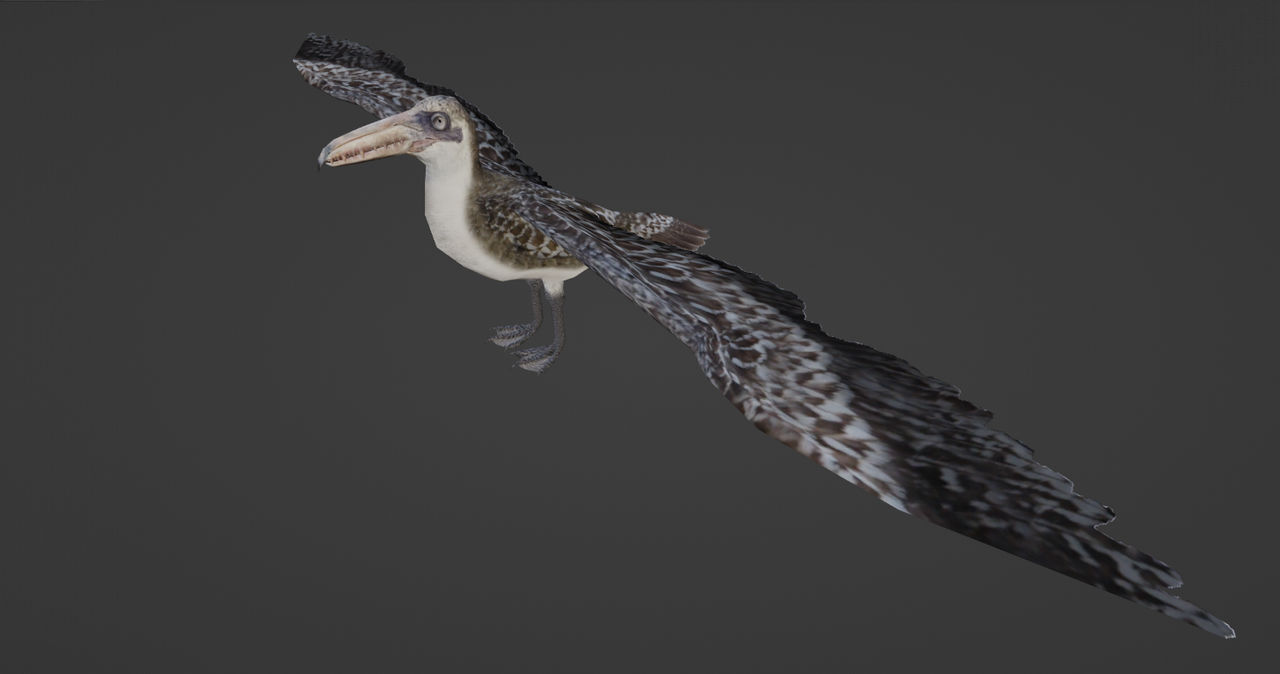 Pelagornis by DemonHunterZT2 on DeviantArt