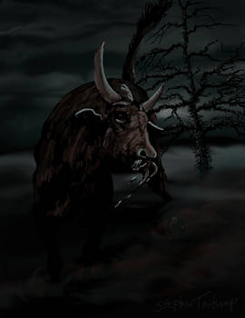 Midnight Bull