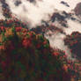 Misty Ridge (Autumn)