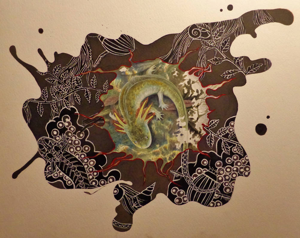 Petrification by Danio-Boots Petrification by Danio-Boots