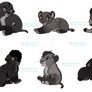 +|Ultra Breedable Result #6|+