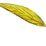 Just a gold Feather...