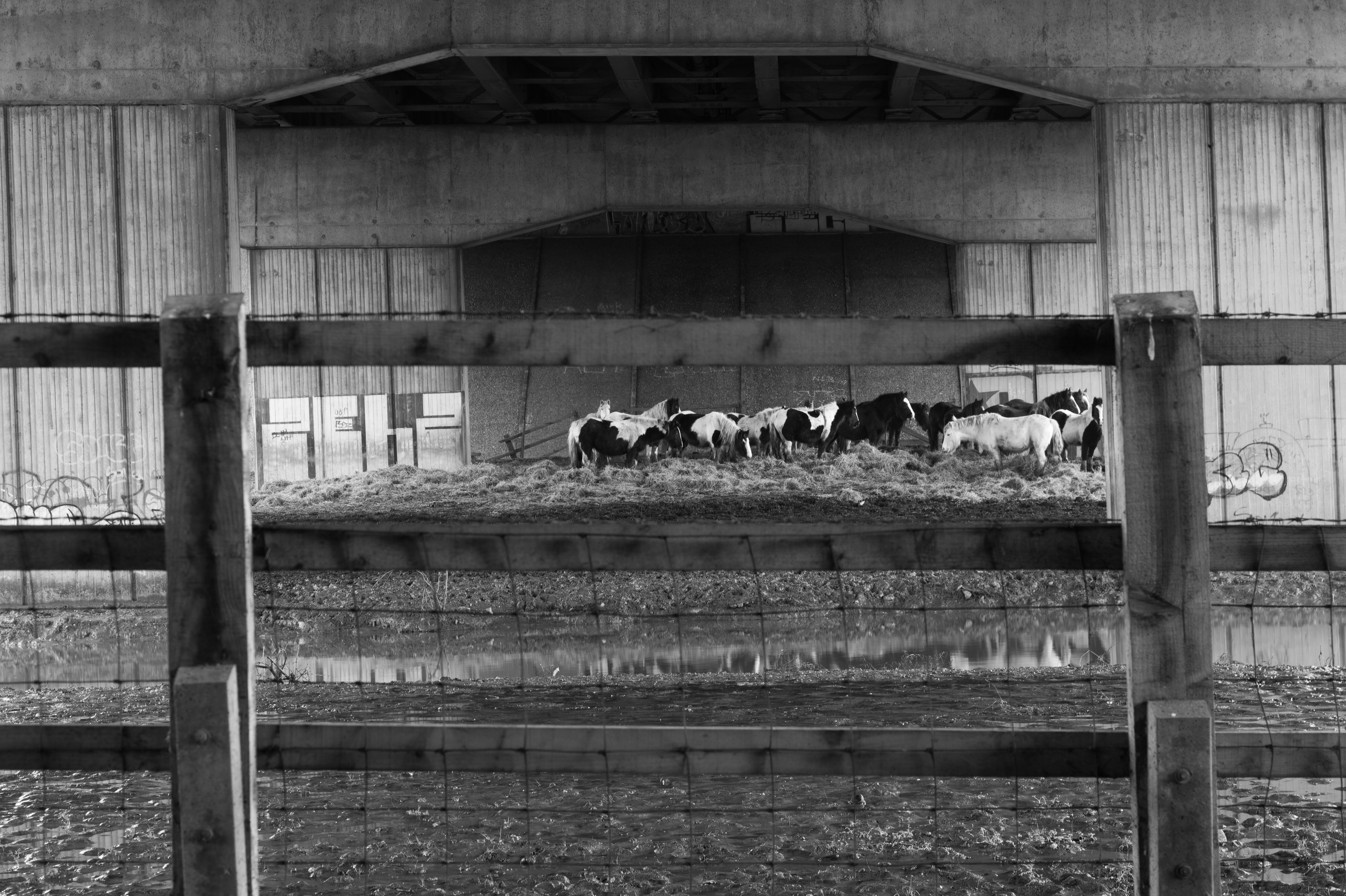 Shelter under the M25