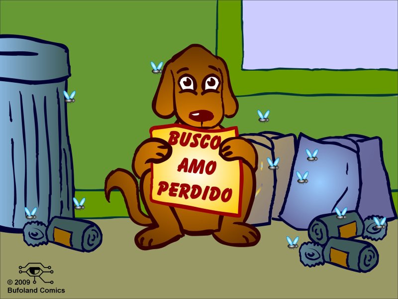 Busco Amo Perdido