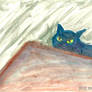 GATO / CAT