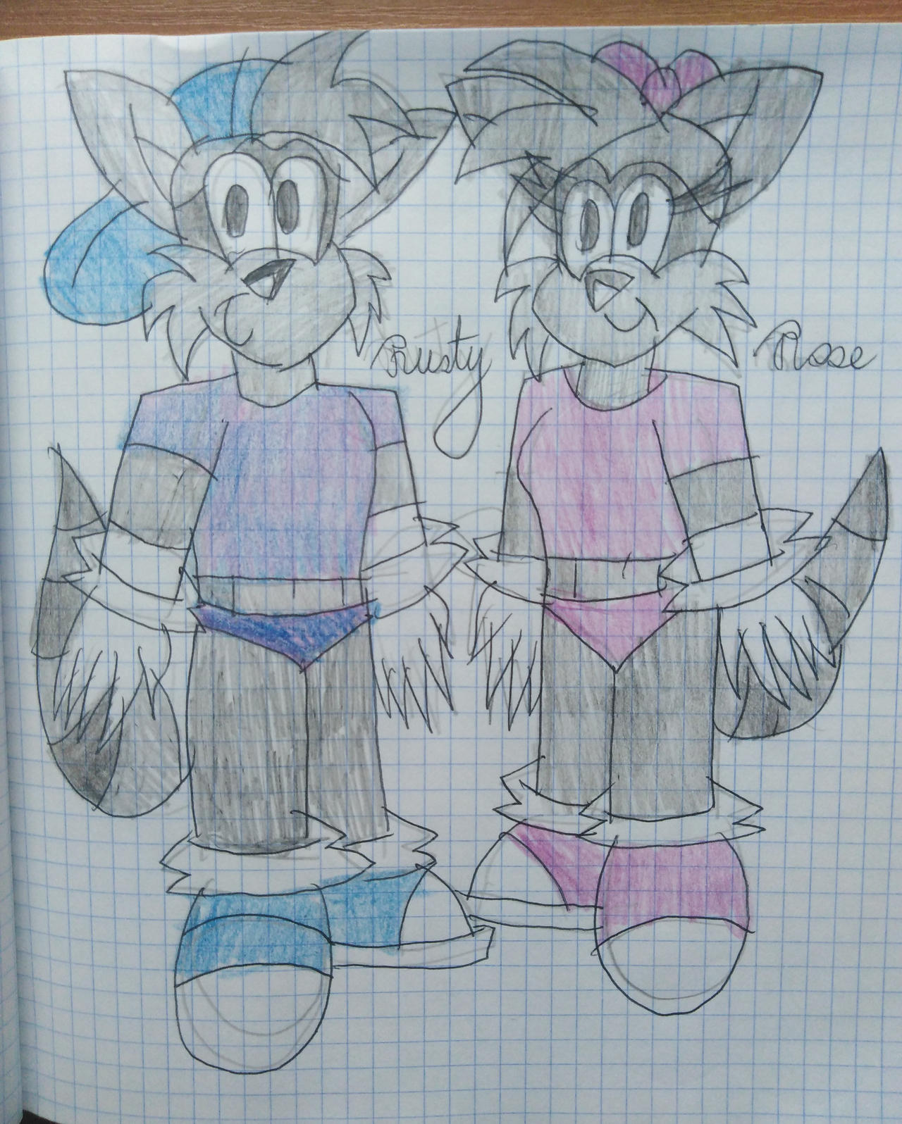 Rusty and Rose the Raccoons by AdrianBocek on DeviantArt