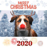 Merry Christmas  a Happy 2020!