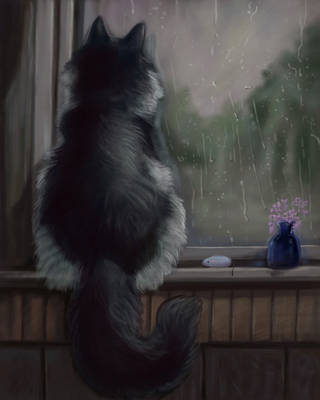 Rainy Day