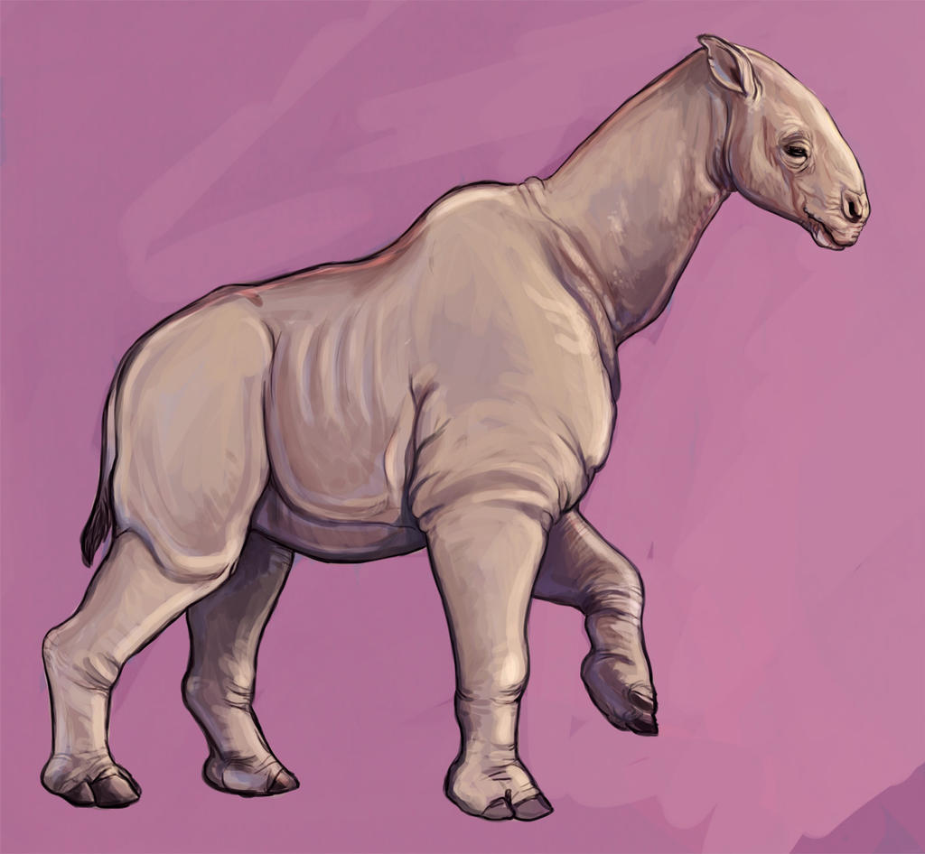 Paraceratherium By Saeto15 On DeviantArt paraceratherium-by-saeto15-on-deviantart
