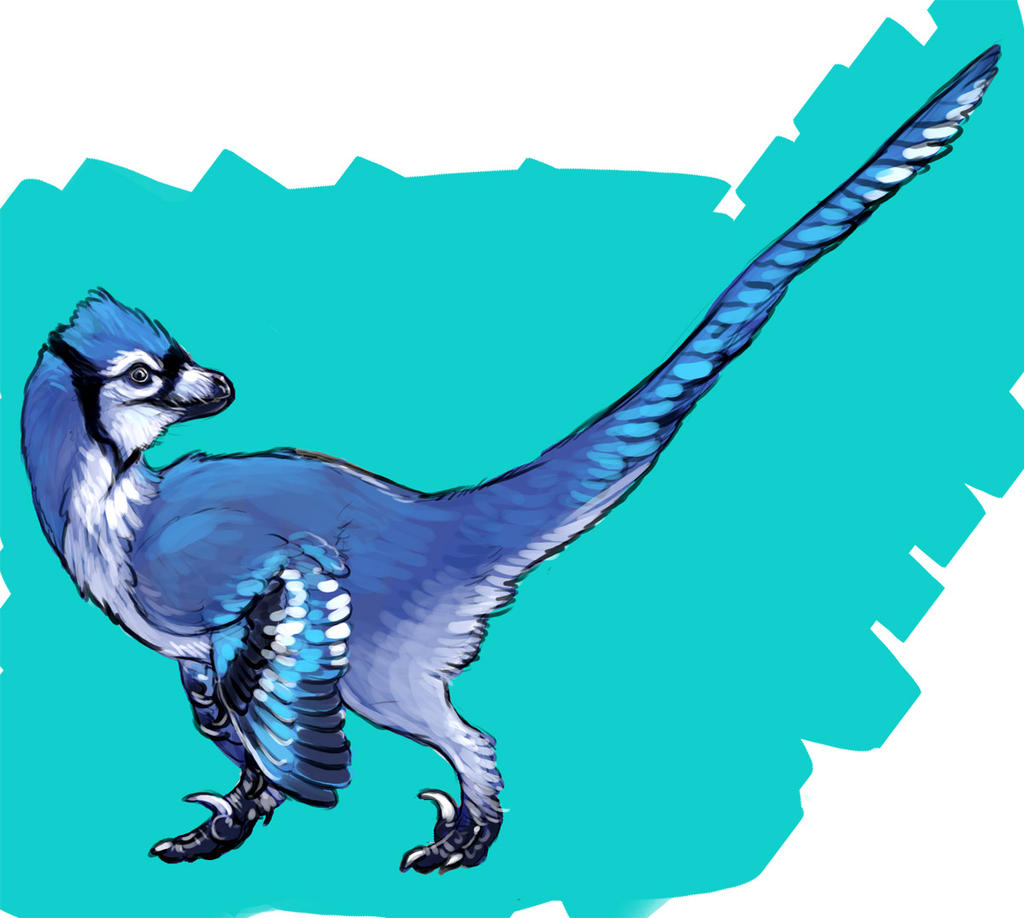 Bluejay Raptor