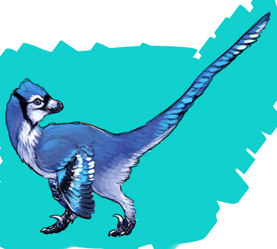 Bluejay Raptor by saeto15 on DeviantArt