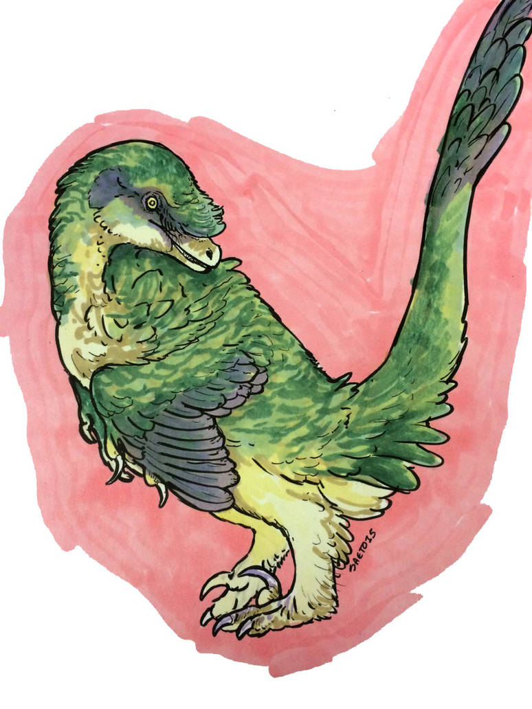 Fluffly Raptor Base Fluffyraptor by saeto15 on DeviantArt