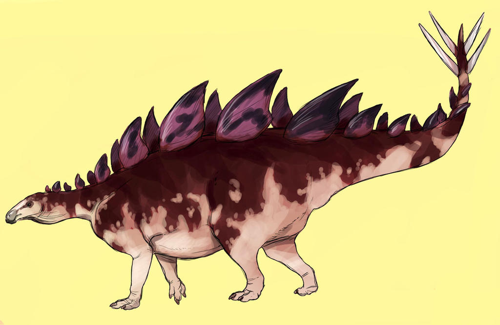 Stegosaurus