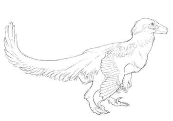 Raptor sketch