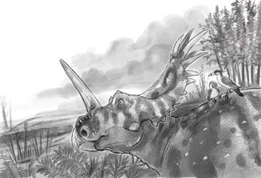 Styracosaurus