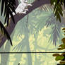 jungle japes