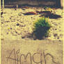 Aiman