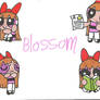 PPG Profile: Blossom