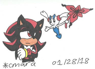 Shadow and Floette