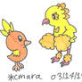 Torchic and PP Oricorio