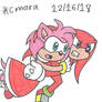 Knuckles get Amy to safety