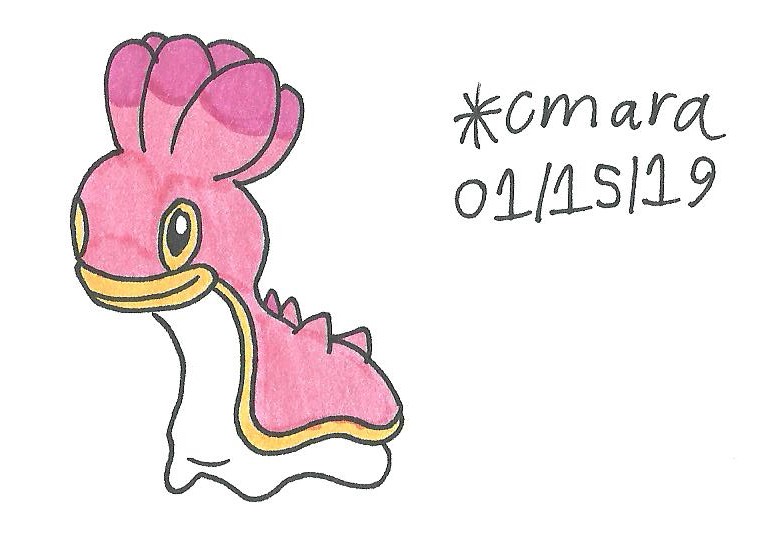 West Sea Shellos by cmara on DeviantArt