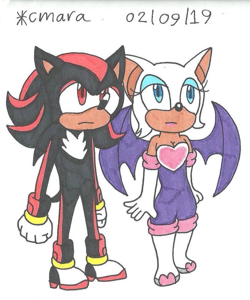Shadow and Rouge on mission by cmara on DeviantArt