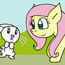 Fluttershy and Angel