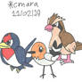 Pokemon Birds