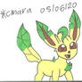 Leafeon excited