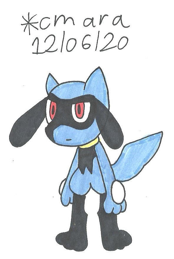 Riolu observe by cmara on DeviantArt