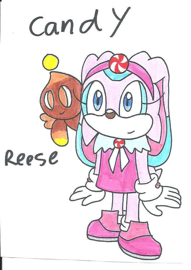 Candy the rabbit and Reese the Chao by cmara on DeviantArt