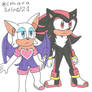 Rouge and Shadow observe