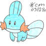 who doesn't love Mudkip?