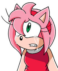 SAI: 'No, Sonic!'