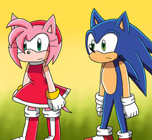 SAI: Amy and Sonic inspect