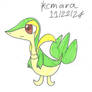 Snivy look about